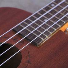 Load image into Gallery viewer, UC23-AEQ Concert Standard Acoustic/Electric Ukulele